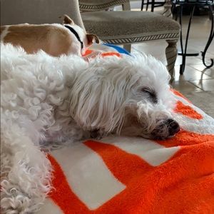 Meet your Posher, Cynthia